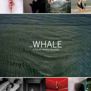 THE-WHALE-m